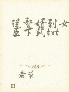 从赘婿到女帝宠臣下载txt