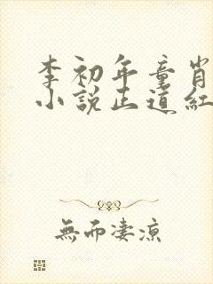 李初年童肖媛的小说正道红途封面