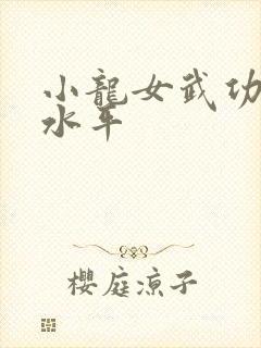 小龙女武功什么水平