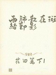 两肺散在斑点小结节影