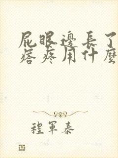 屁眼边长了个疙瘩疼用什么药