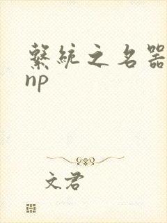 系统之名器攻略np