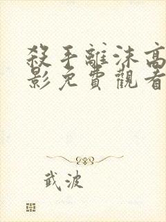 杀手离沫高清电影免费观看封面