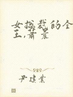 女总裁的全能兵王,萧晨