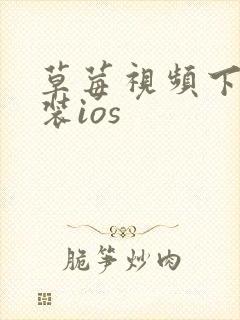 草莓视频下载安装ios