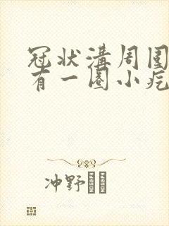 冠状沟周围边缘有一圈小疙瘩封面