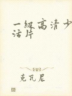 一级高清少妇生活片