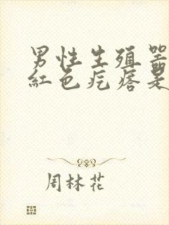 男性生殖器上长红色疙瘩是怎么回事