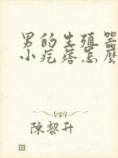 男的生殖器上长小疙瘩怎么回事