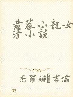 黄蓉小龙女左剑清小说