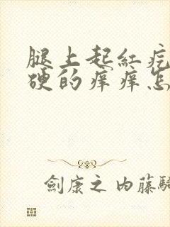 腿上起红疙瘩硬硬的痒痒怎么回事封面