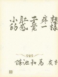 小肚子疼想拉屎的感觉一样怎么回事