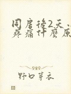 同房后2天小腹疼痛什么原因