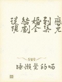 从结婚到恋爱电视剧全集免费观看封面