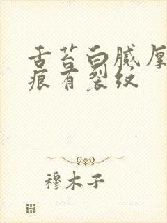 舌苔白腻厚有齿痕有裂纹