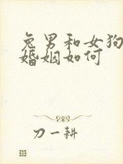 兔男和女狗相配婚姻如何封面