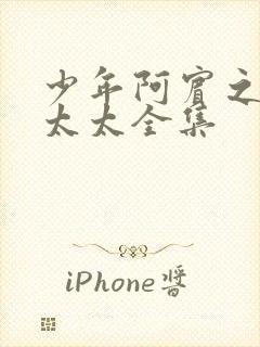 少年阿宾之房东太太全集