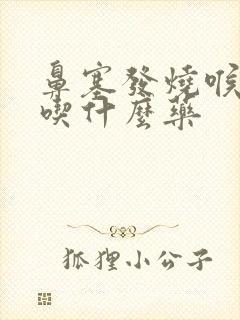 鼻塞发烧喉咙痛吃什么药