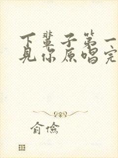 下辈子第一个遇见你原唱完整版封面