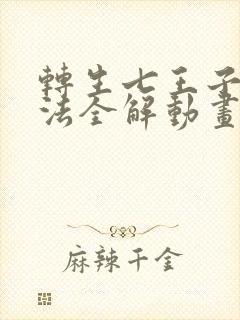 转生七王子的魔法全解动画免费观看