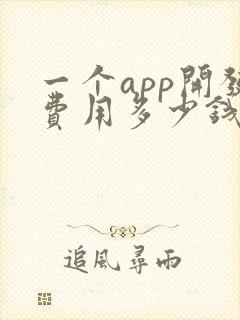 一个app开发费用多少钱