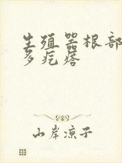 生殖器根部长好多疙瘩