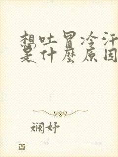 想吐冒冷汗头晕是什么原因