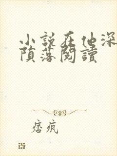 小说在他深情中陨落阅读封面