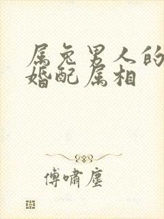 属兔男人的最佳婚配属相封面