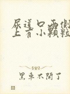 尿道口两侧外阴上有小颗粒封面