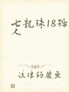 七龙珠18号同人封面