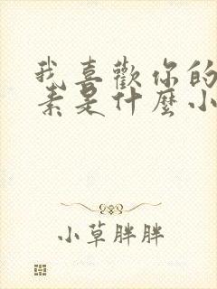 我喜欢你的信息素是什么小说