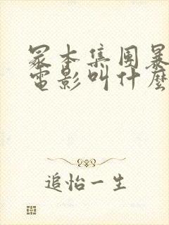 冢本集团暴行的电影叫什么封面