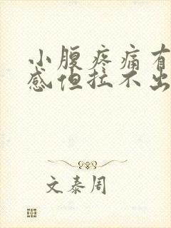 小腹疼痛有大便感但拉不出来