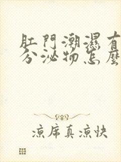 肛门潮湿有大便分泌物怎么回事