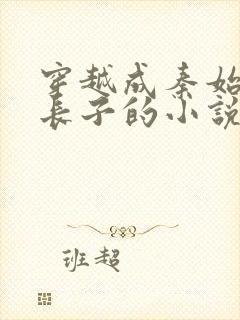 穿越成秦始皇的长子的小说赵浪