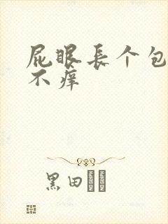 屁眼长个包不疼不痒