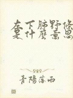 左下肺野条索影是什么意思