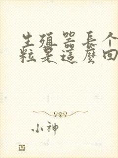 生殖器长个小肉粒是这么回事