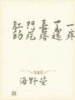 肛门长了一个硬的疙瘩还疼封面