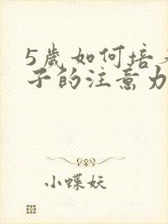 5岁如何培养孩子的注意力不集中