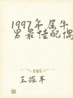 1997年属牛男最佳配偶属相封面