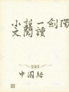 小说一剑独尊全文阅读