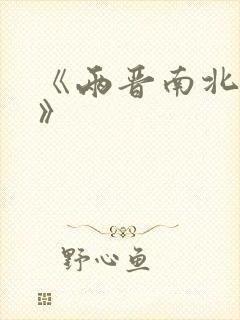 《两晋南北朝史》