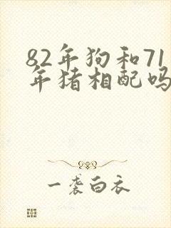 82年狗和71年猪相配吗