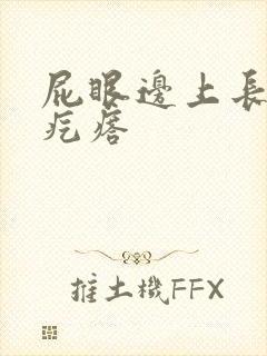 屁眼边上长有硬疙瘩封面