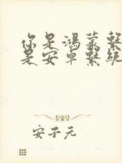 你是鸿蒙系统还是安卓系统