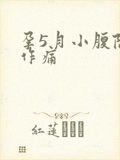 孕5月小腹隐隐作痛