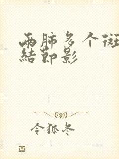 两肺多个斑点小结节影