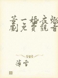 董一婚夜燃尽短剧免费观看